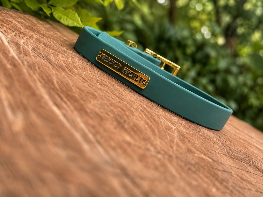 Simply Spoilt Signature Collar - heritage green dog collar with gold signature metal badge