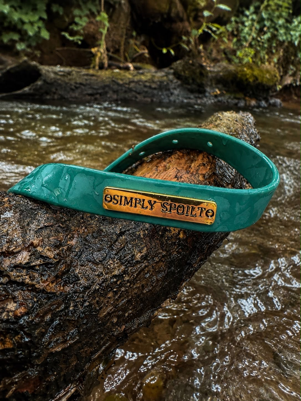Simply Spoilt Signature Collar - heritage green dog collar with gold signature metal badge