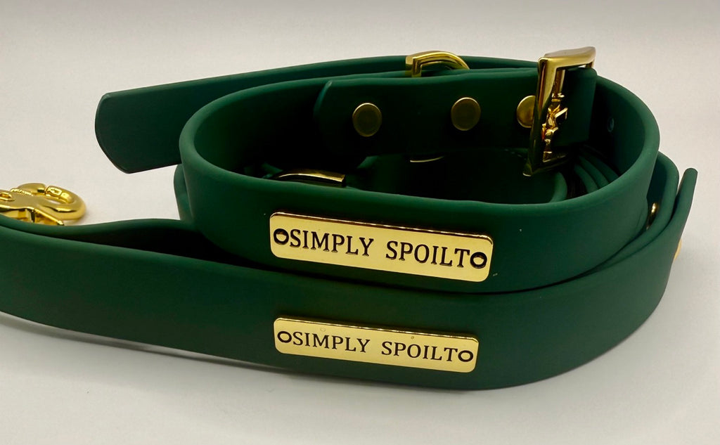 Simply Spoilt Signature Lead and Collar Set - matching heritage green dog lead and collar with gold hardware