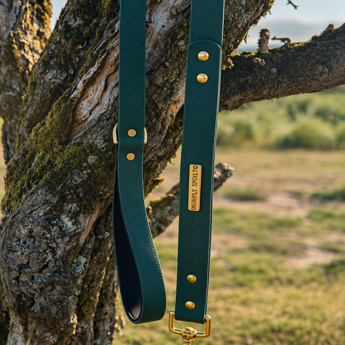 Simply Spoilt Signature Lead - heritage green coated dog lead with gold-tone hardware and padded handle