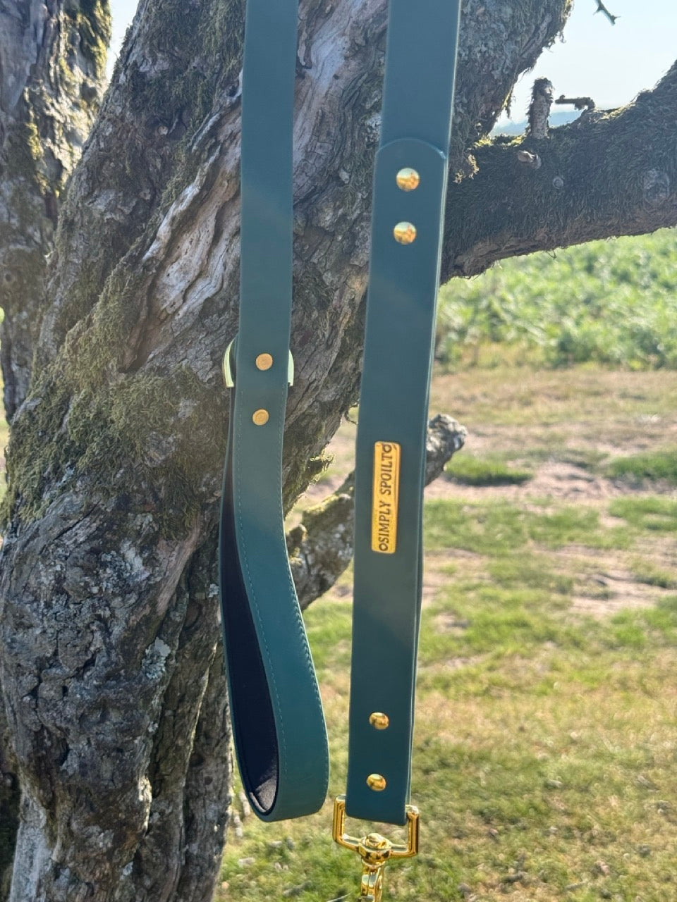 Simply Spoilt Signature Lead and Collar Set - matching heritage green dog lead and collar with gold hardware