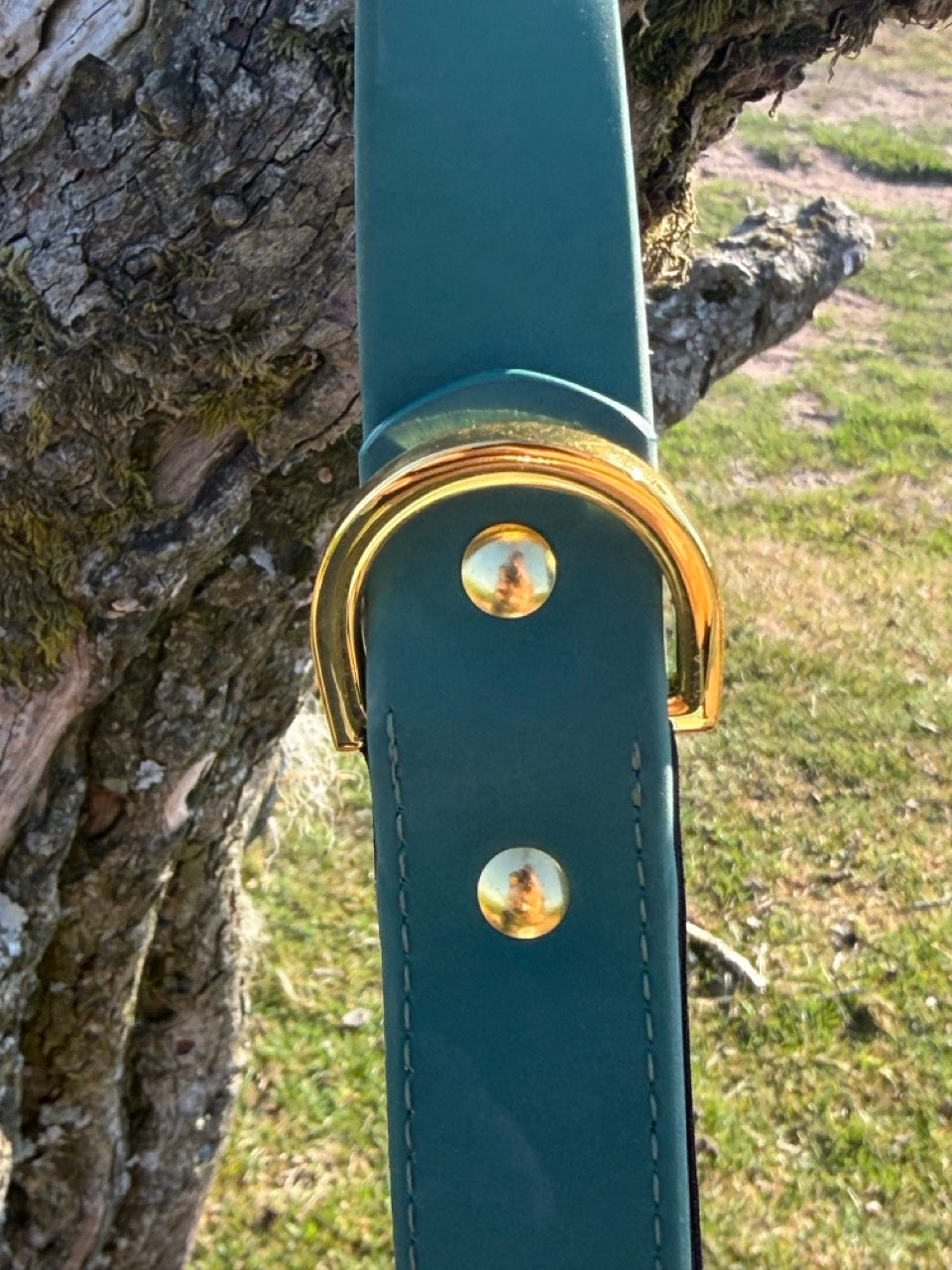 Simply Spoilt Signature Lead and Collar Set Large - matching heritage green dog lead and collar