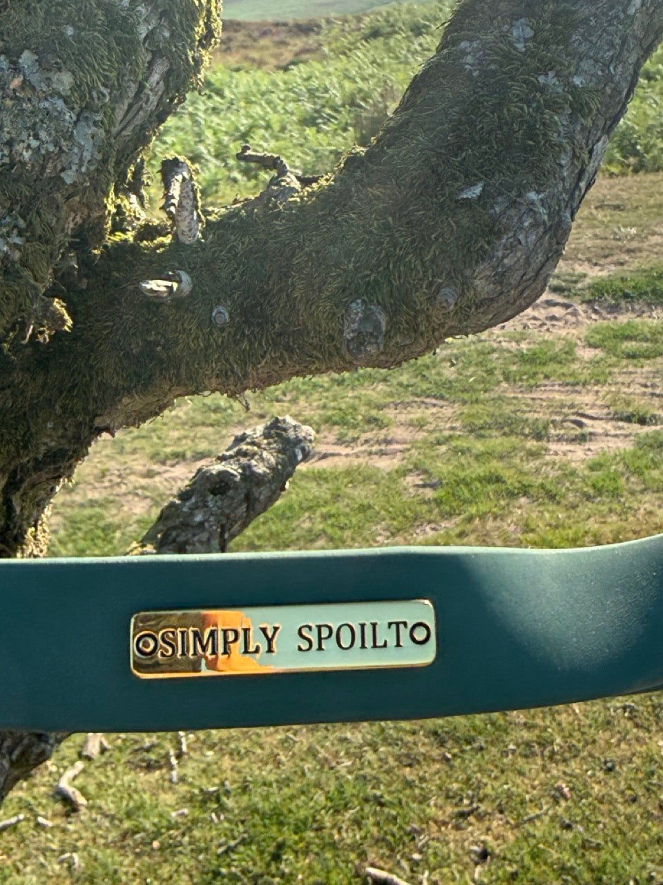 Simply Spoilt Signature Lead and Collar Set Large - matching heritage green dog lead and collar